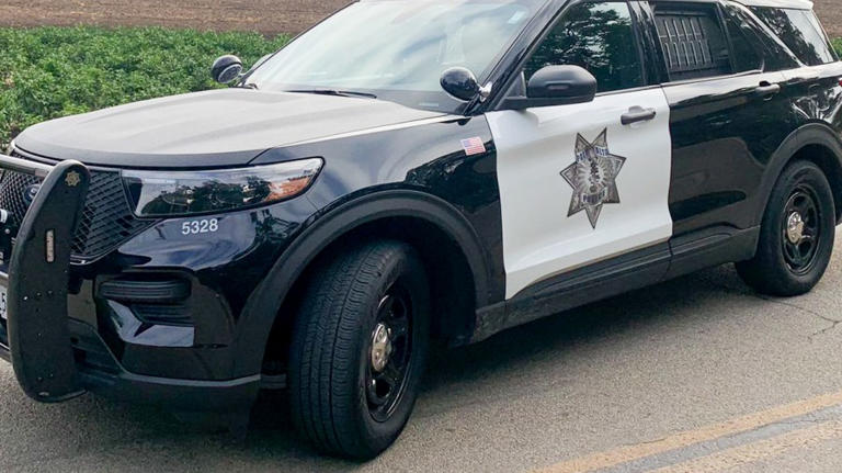 Woman pepper sprayed an entire family in Palo Alto road rage incident: PD