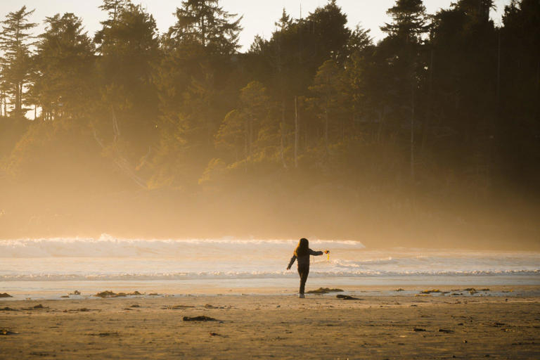 The coastal gem of Tofino captivates visitors with its breathtaking natural beauty and surf-filled shores. Here are some of the top things to do in this small town off the western edge of Vancouver Island.