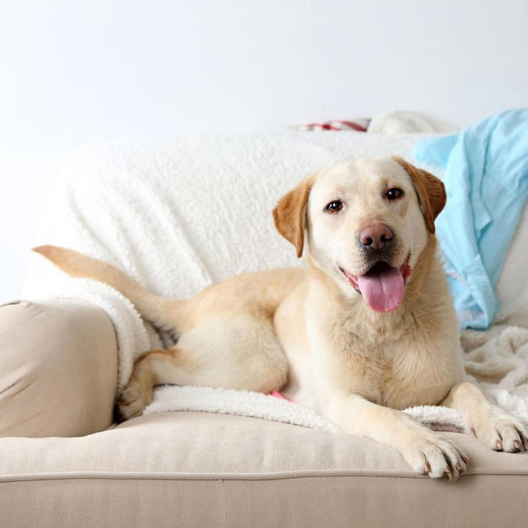20 ideas to make your home sell faster