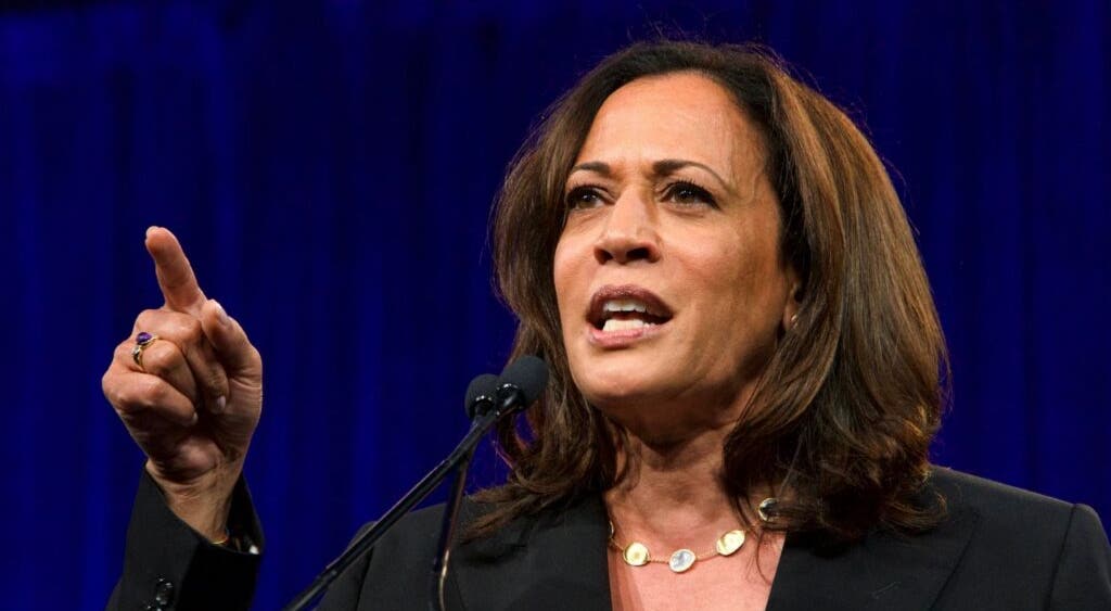 Peter Schiff Slams Kamala Harris' Economic Plans: 'Inflation Isn't The ...