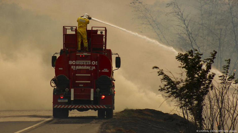 Incêndios atingiram vários biomas do país neste ano