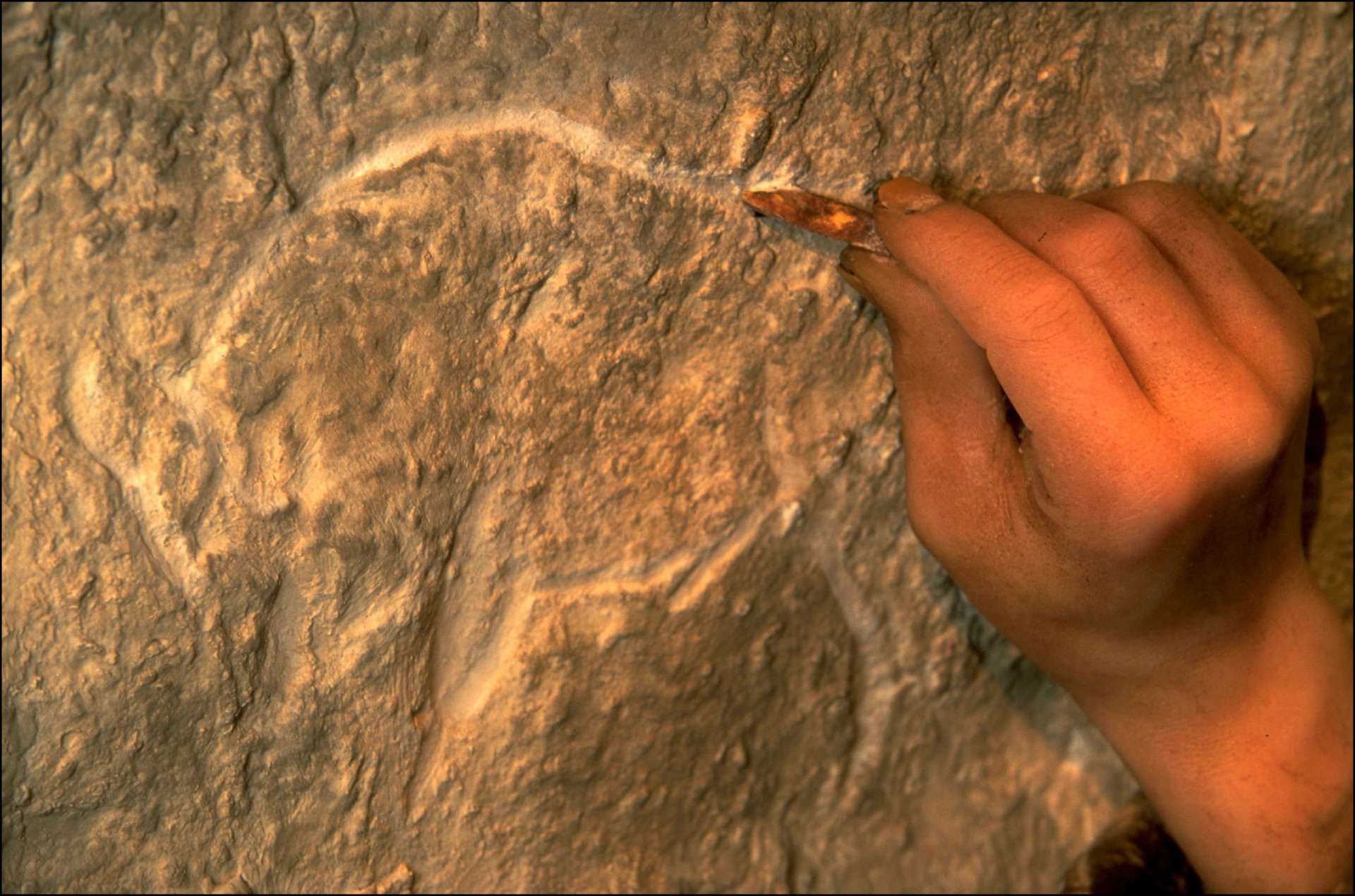 What was the Neanderthal diet like?