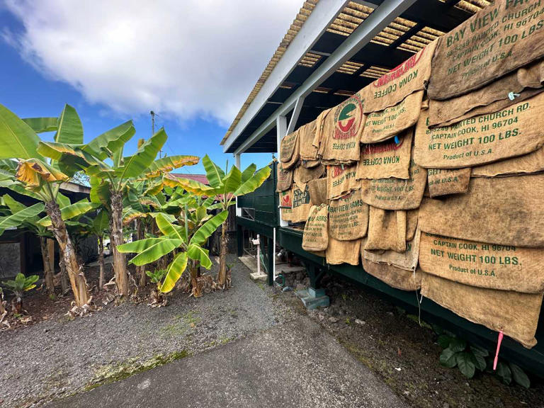 Beyond the beaches, coffee in Hawaii deserves your attention. If you love coffee like I do, there’s something unique and delicious for you in Hawaii. Exploring the coffee culture is just the thing. From the many plantations, custom roasters, and the region’s unique history, coffee in Hawaii is an adventure you’ll savor.   Things to Know About Coffee in Hawaii  I love coffee. Whenever I travel anywhere, I find local roasters and cafes. It’s less common I can get right to the source – the growers. Yet, Hawaii’s mineral-rich volcanic soil creates ideal conditions for coffee cultivation. It’s known for its coffee production and you’ll find plantations across the islands, each with its unique beans. I visited plantations on the Big Island and Kauai.   Where they Grow Coffee  There are coffee plantations across the Hawaiian islands where the diverse microclimates contribute to the complex flavors of Hawaiian coffee. Many coffee farmers focus on sustainable practices that protect the delicate ecosystem. The hospitality of the locals adds to the charm of a coffee tour.   The Big Island’s Kona Coffee is the crown jewel of Hawaiian coffee. Kona coffee, grown in the Big Island’s Kona district, is the most celebrated Hawaiian […]