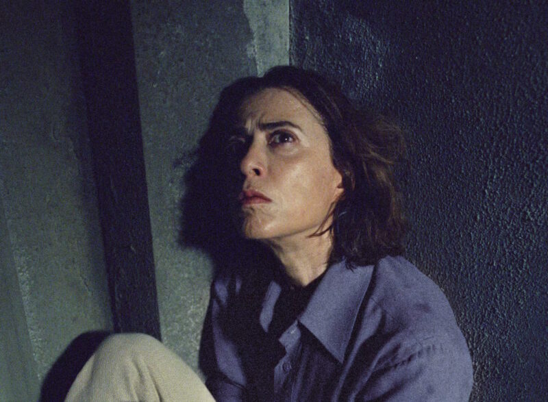 Ódio de bolsonaristas à vitória de “Ainda Estou Aqui” contrasta com celebrações do Oscar