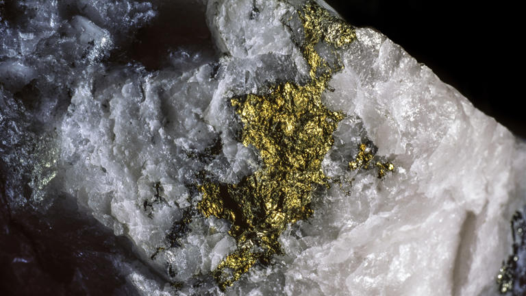In quartz veins, gold preferentially solidifies onto existing gold deposits, forming large clusters of nuggets. (Image credit: Pierre Longnus via Getty Images)