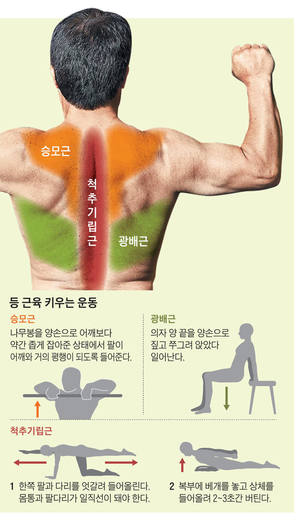 나이 들며 찾아오는 ‘굽은 등’ 피하고 싶다면… ‘이곳’ 근육 키워야