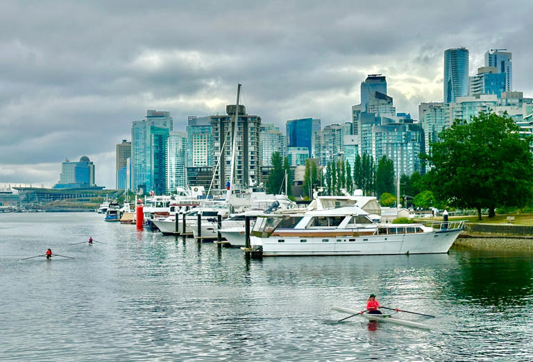 Morning row in Vancouver Harbor. (David Mullally -- Herald Correspondent)