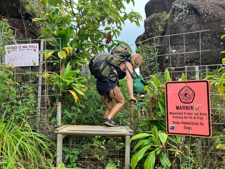 DLNR’s Division of State Parks said at least 24 people who hiked the Na Pali Coast trail since Aug. 14 have suffered gastrointestinal sickness, believed to be called by the Norovirus. One was evacuated but no one has been hospitalized.