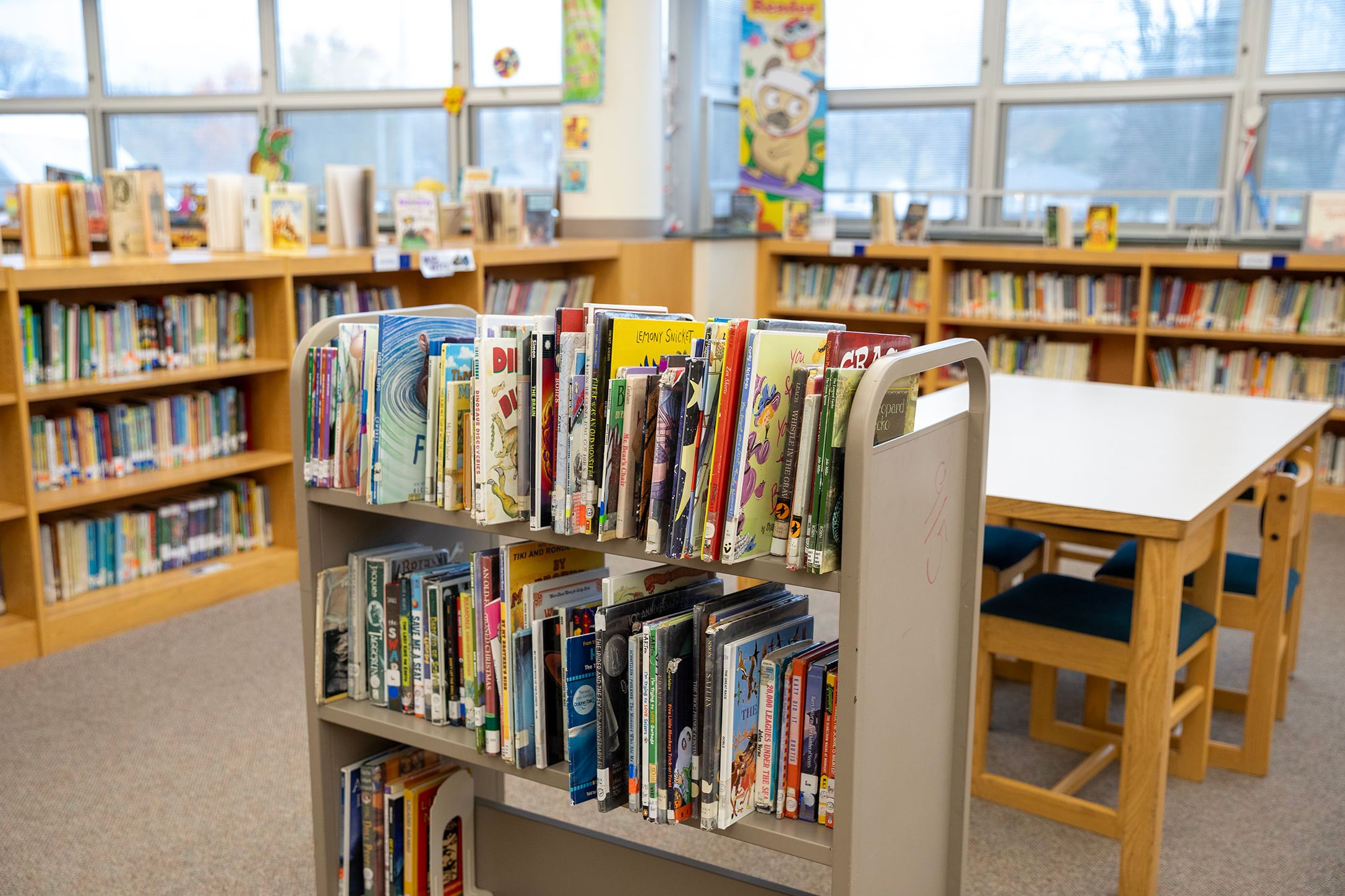 Federal library funding cuts could mean the end of services for ...