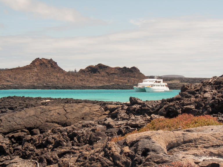 The Best Cruises for Exploring the Galapagos Islands