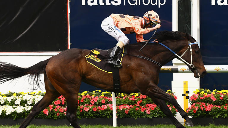 MELBOURNE, AUSTRALIA - OCTOBER 23: Jockey Luke Nolen riding Black Caviar wins Race Five the Schweppes Stakes during Cox Plate Day at Moonee Valley Racecourse on October 23, 2010 in Melbourne, Australia. (Photo by Quinn Rooney/Getty Images)