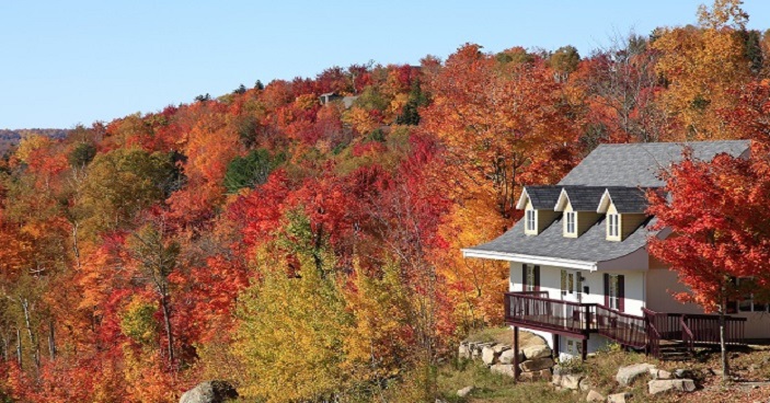 How To Borrow From Your Home Without Touching Your Mortgage