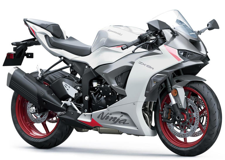ふゆ 冬バーゲン☆】 30th ZX-10R Ninja Kawasaki 2015 Anniversary