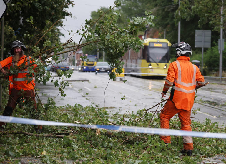 Workers begin to remove fallen tree branches after strong winds brought by Storm Lilian brought down trees blocking roads and tram routes in Manchester