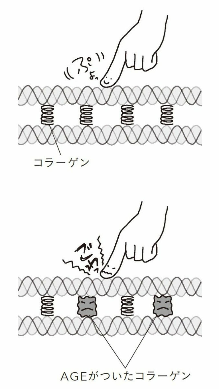 （出所：『「老いても元気な人」と「どんどん衰えていく人」ではなにが違うのか』より）