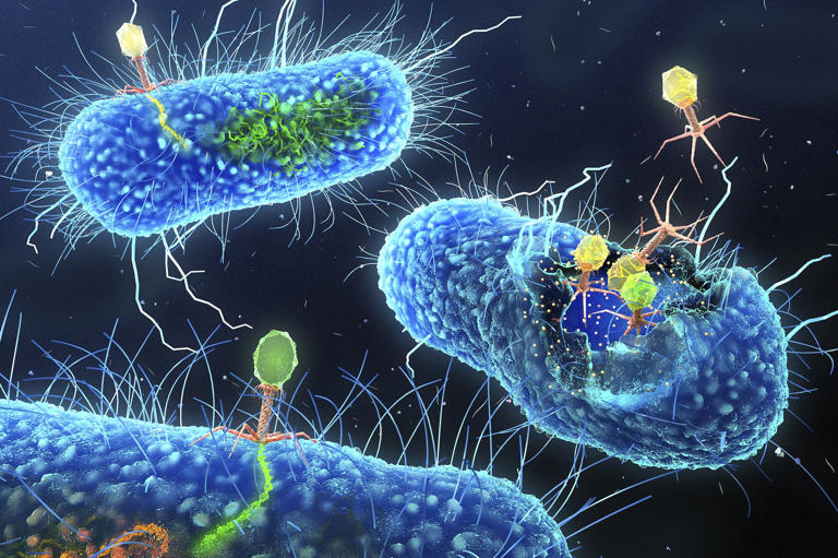 Antibiotic resistance makes once-lifesaving drugs useless. Could we ...