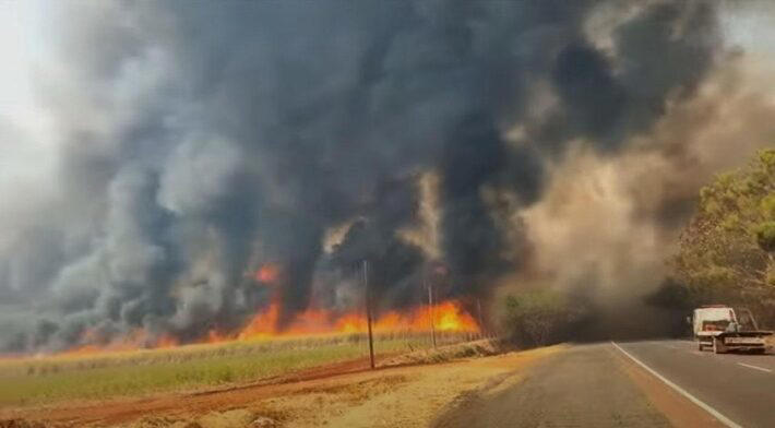 Incêndio avança nas margens de rodovia de Sertãozinho, no interior de São Paulo Foto: CBM-SP - 24/8/2024