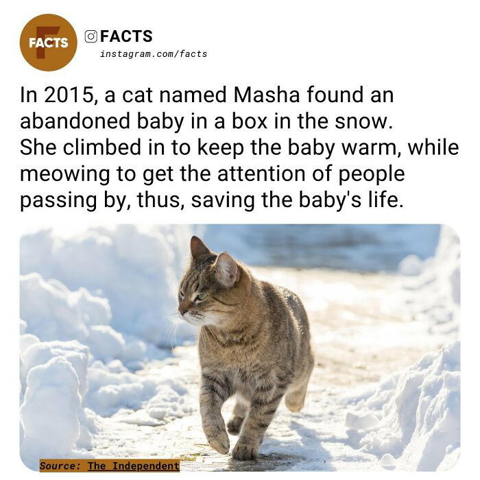 Most intresting facts sales