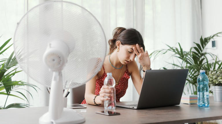 Hot day woman using laptop and fan