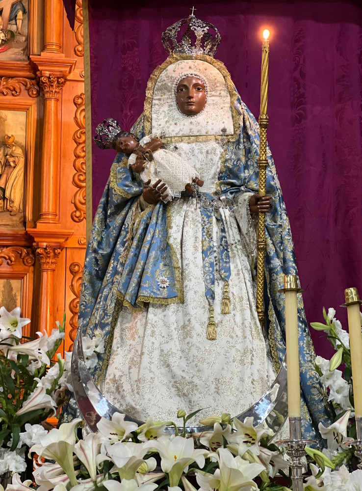 Top 20 Fittest Women's MMA Fighters Of All-Time