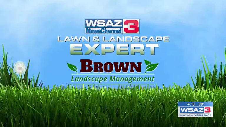 Lawncare tips with Brown Landscape Management