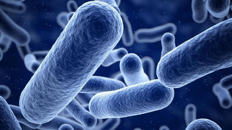 Scientists discover the ancestor cell of all living beings on Earth: What is this ancient species? Find out here