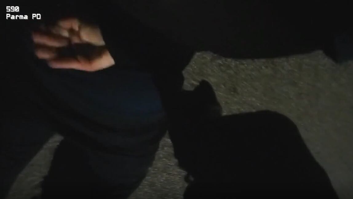Parma police arrest teen in stolen car chase that ended in Cleveland