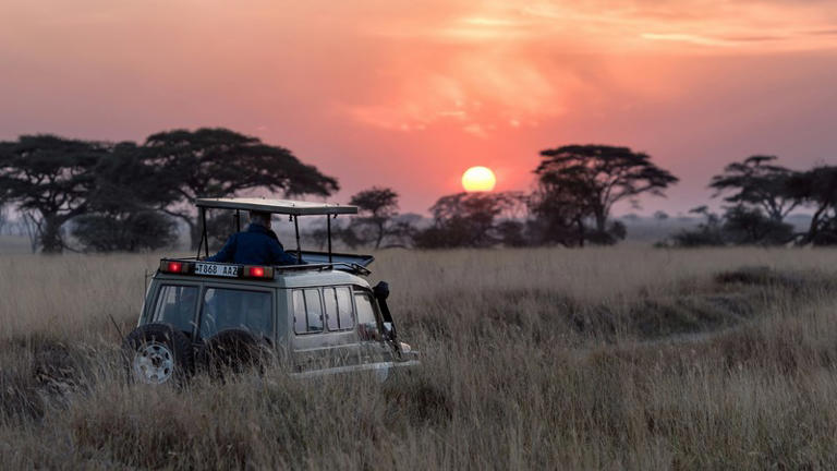 Enjoy the last days of safari season at these local stays