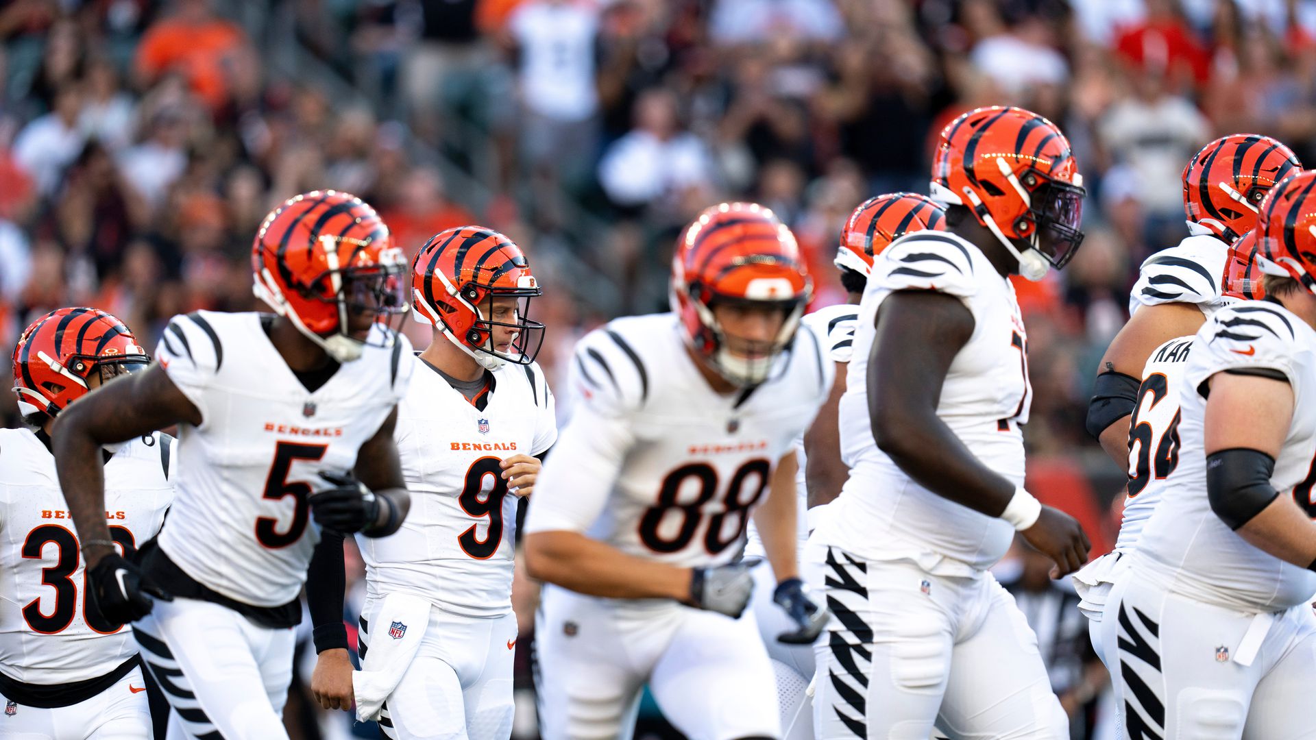 PFF Analysts Predict Who Will Win The AFC North; Bengals Get Several Picks