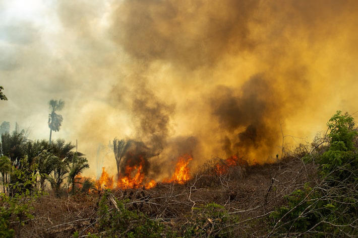 Queimada em área de cidade paraense, em 2023 Foto: Daniel Teixeira/Estadão - 4/10/2023