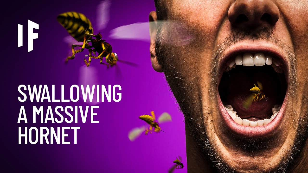 Swallowing a Why It’s Worse Than You Think