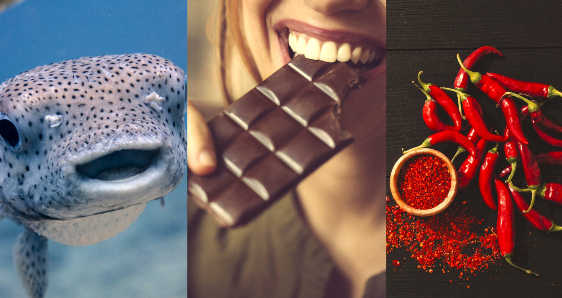 Natural Aphrodisiacs From Around The World You'll Want To Try