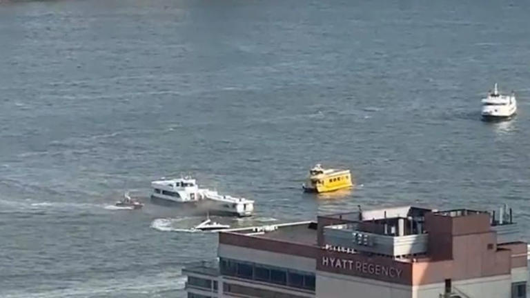 ‘Certain we were going to have to jump into the river’: NY Waterway ferry fire