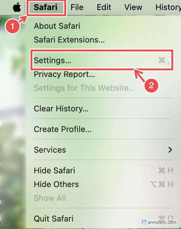 Safari settings on MacBook.