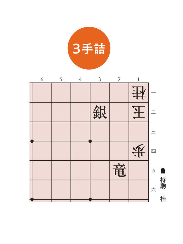 必死11冊＋詰将棋3冊セット 必死を勉強して下さい。( =＾ω＾)