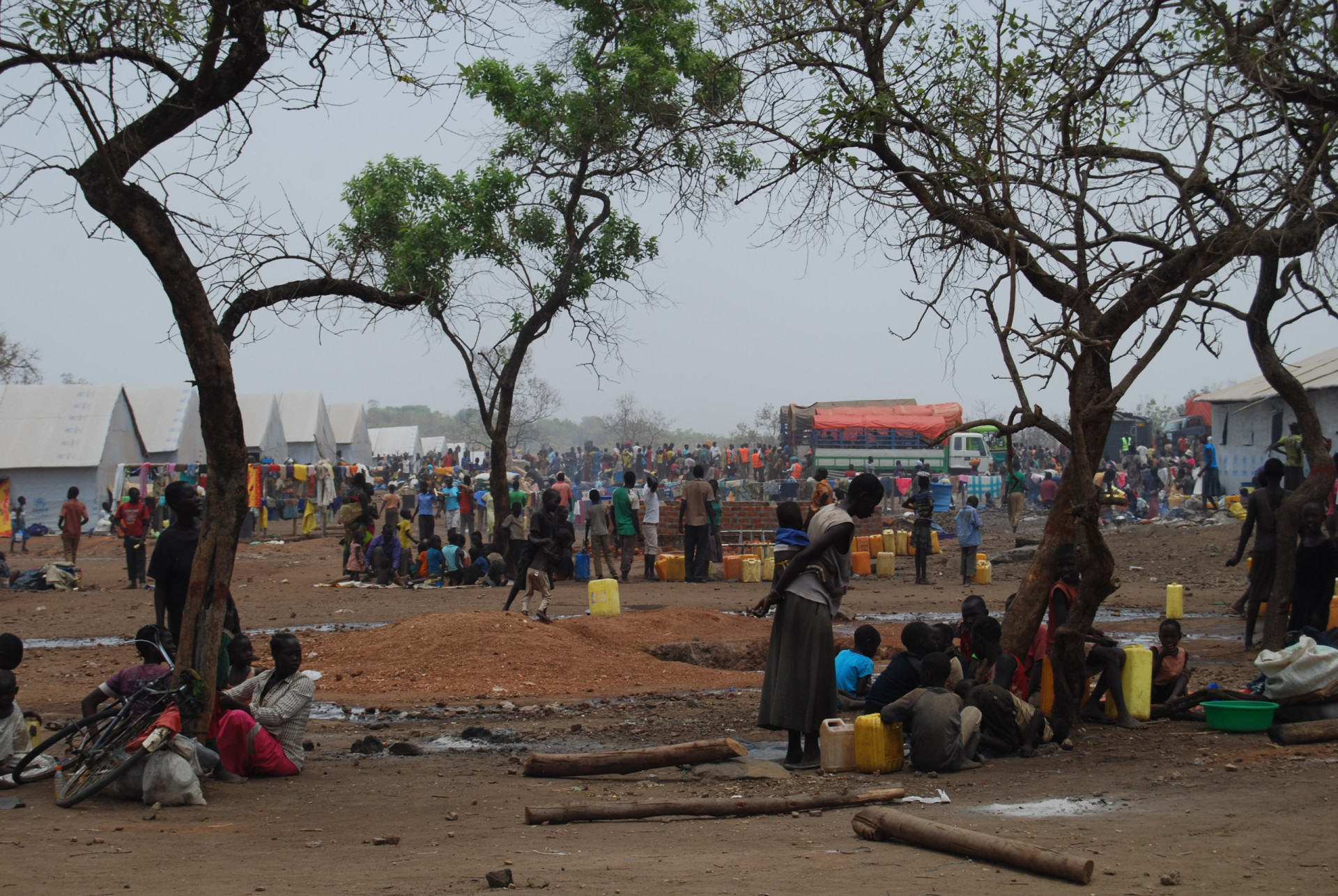 The true dangers of West Nile virus