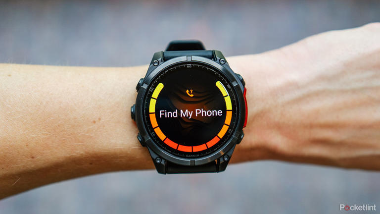 Find my garmin watch online