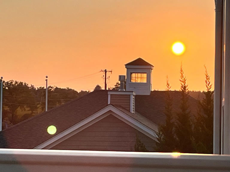 Sunrise Smart Start Daylight saving, Bills Squish Fish