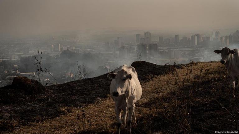 Fogos acima da média alcançaram diversas regiões do Brasil