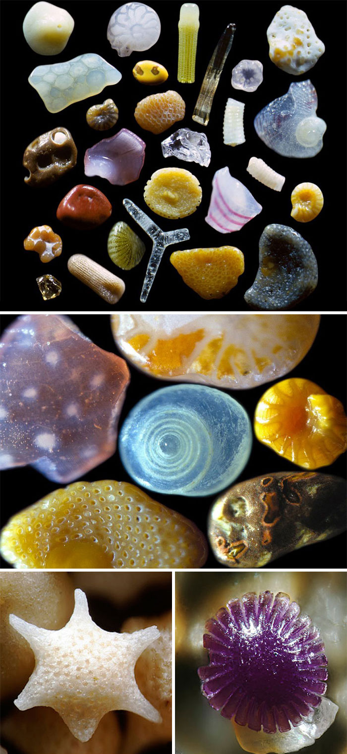 #10 This Is What Some Grains Of Sand Look Like When Magnified 100 To 300 Times