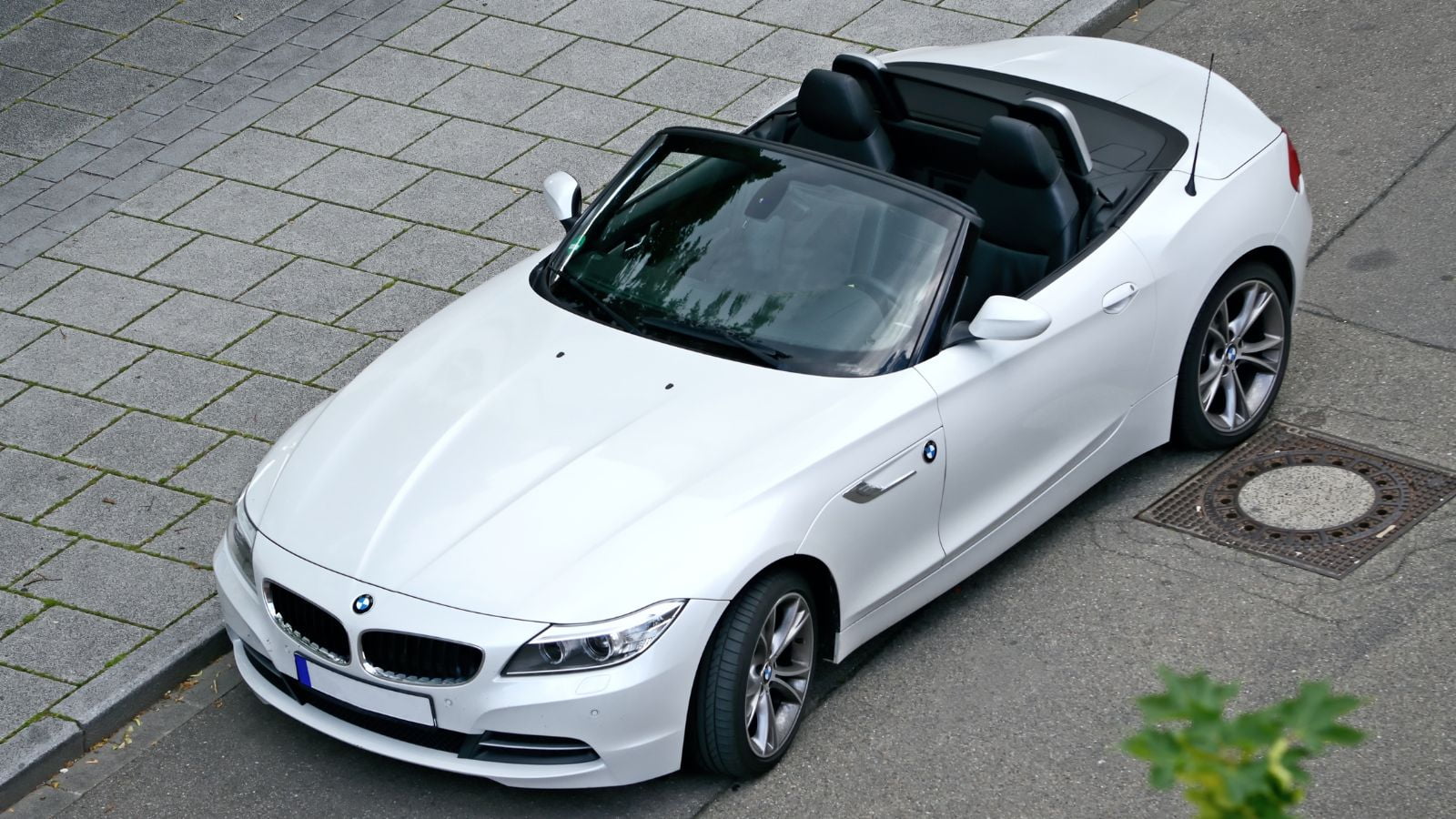 You Won't Believe Dana Wright's Age: This Ageless Icon Will Shock You!