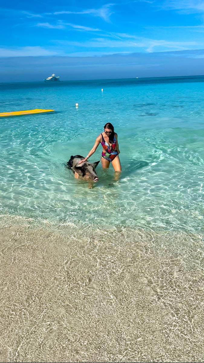 If it's on your bucket list to go swimming with pigs in Nassau, Bahamas, here is the best way to have an unforgettable adventure with these adorable animals. Long gone are the days when you used to have to take a 4-hour boat ride or expensive flight to Exuma.