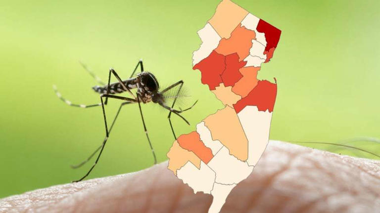 3 people die from West Nile as virus detected in all 21 N.J. counties