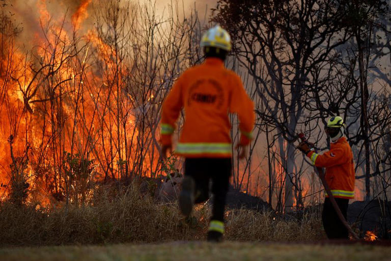 Bombeiros combatem incêndio em parque de Brasília 17/09/2024 REUTERS/Adriano Machado