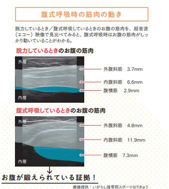 お腹を動かす深呼吸で体の奥から鍛えよう！体幹トレーニング成功のカギを握る腹式呼吸のメリットは？【プロトレーナーが本気で教える 完全体幹教本】