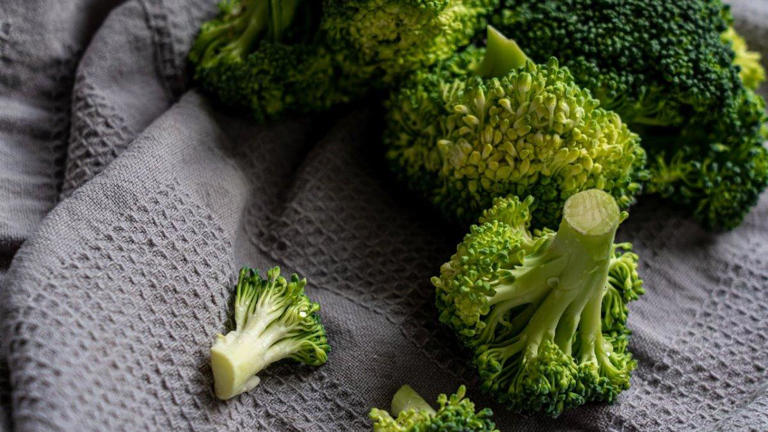 ilustrasi sayur brokoli (Pexels)