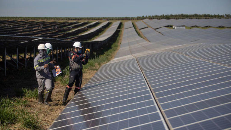 Fontes eólica e solar cresceram em participação na matriz elétrica brasileira, representando 15% e 7% da capacidade de geração instalada em junho de 2024, segundo dados da Aneel