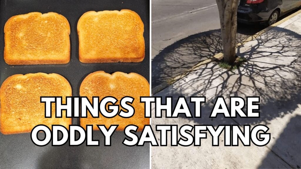 50 Times People Saw Something So Satisfying, They Had To Take A Photo