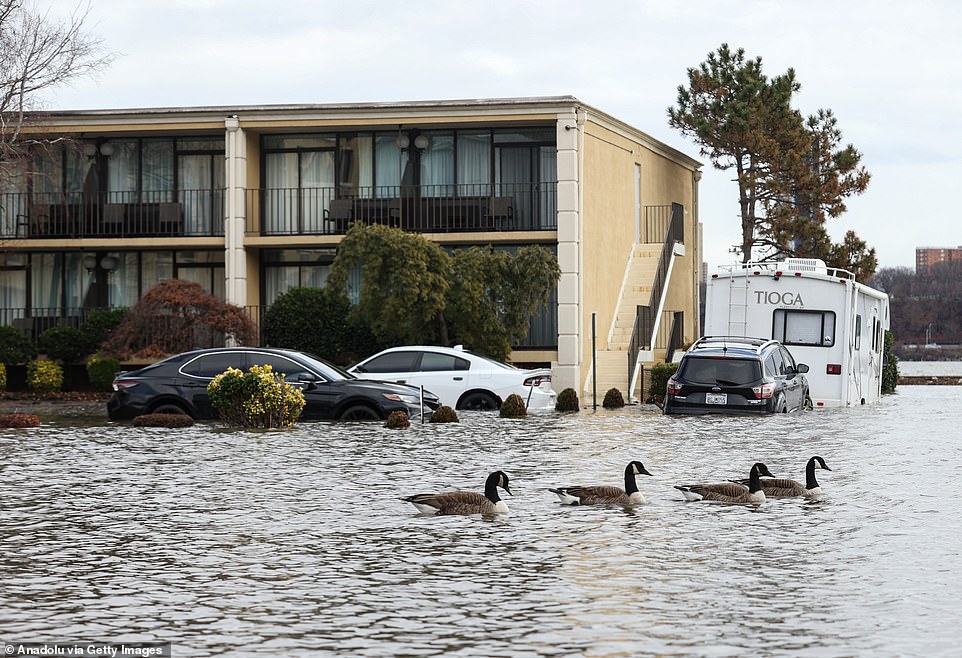 Report: These Major US Cities Could Be Underwater By 2050