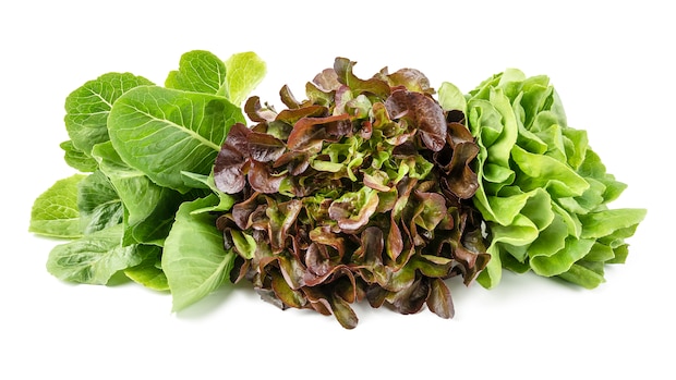 Feldsalat anbauen: Jetzt ist der perfekte Zeitpunkt dafür